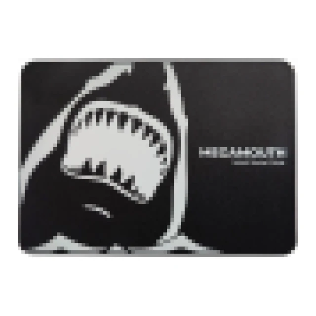 Alternative view of SSD SATA SSTC MEGAMOUTH 1TB HIGH ENDURANCE