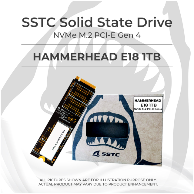 SSD M2 NVMe SSTC Hammerhead P990 Pro Plus 1TB Gen 4